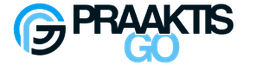 Praaktisgo